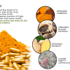 Turmeric Curcumin, Ginger and Black Pepper